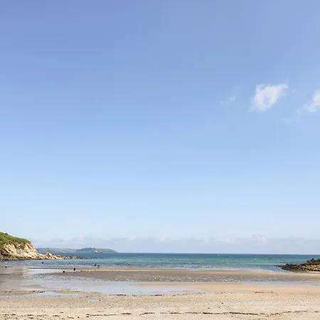 Mulberry * Falmouth